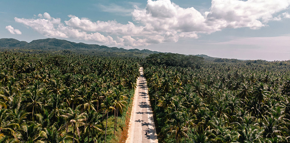 Siargao 2